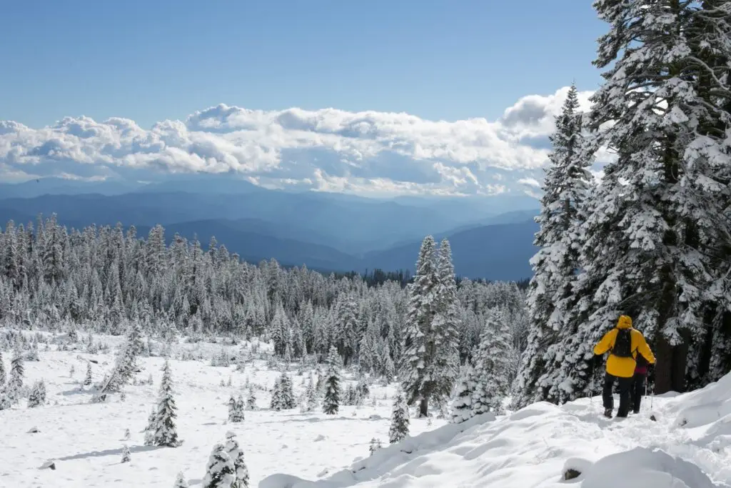 Sneeuwschoenwandelen in Fins Lapland